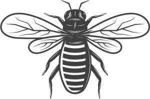 Bee-removal-extermination-woodstock-oxford-county